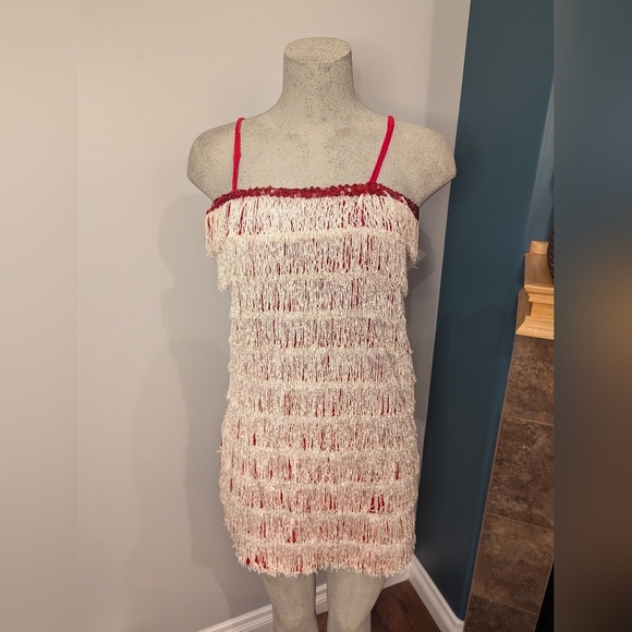 Women’s Red sparkle Fringe 1920’s Flapper Great Gatsby Costume Dress Size XS/S - Picture 6 of 14